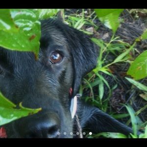 Meet your Posher, Niklas